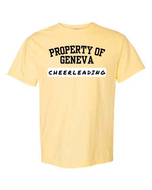 Property of Geneva Cheer Comfort Color (1717)
