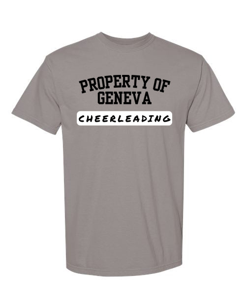 Property of Geneva Cheer Comfort Color (1717)