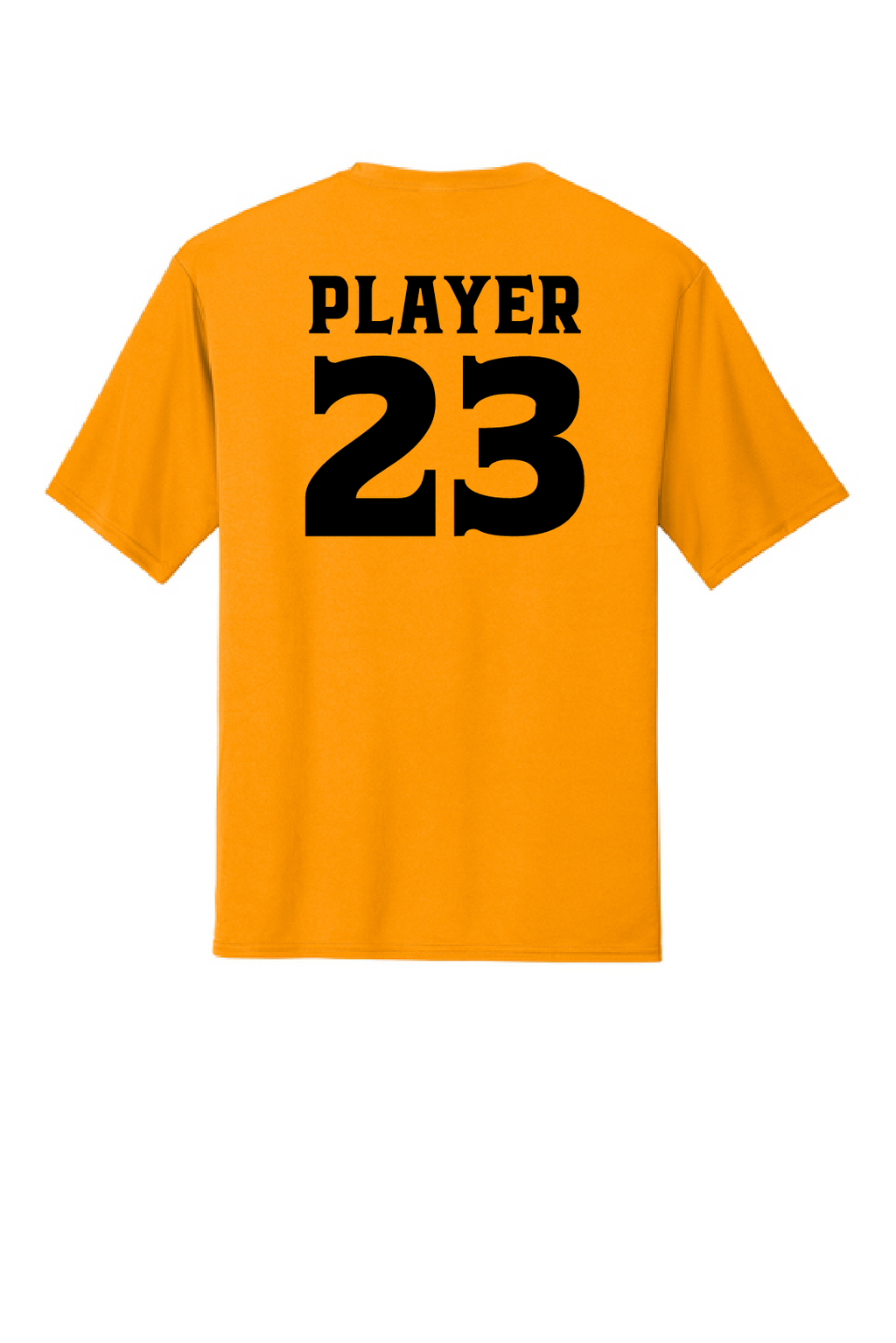 Geneva Panthers Drifit PC380